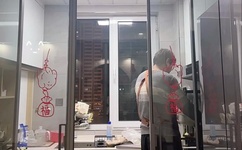 中国videoses12一6